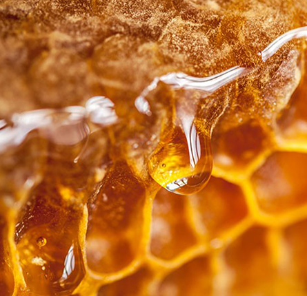 Organic Honey