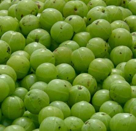 AMLA