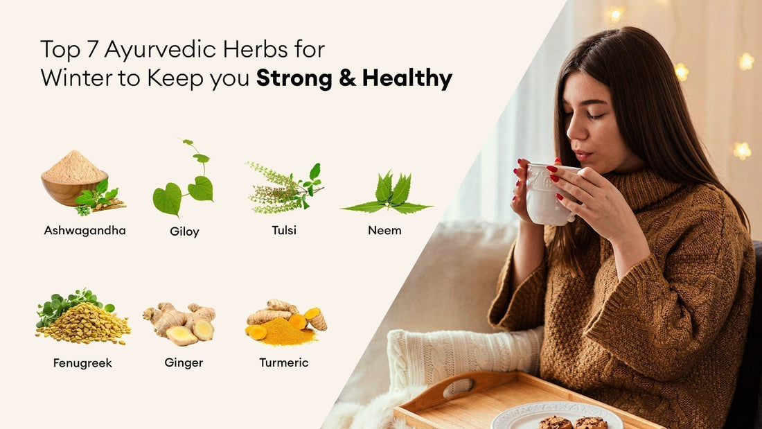 Top 7 Ayurvedic Herbs for Winter to Keep you Strong and Healthy
