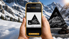 Why Shuddha Shilajit Deserves a Place in Your Daily Wellness Routine