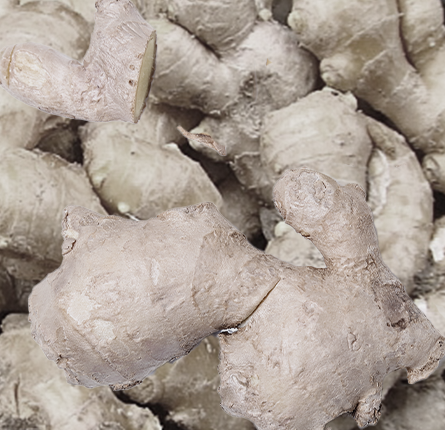 Premium quality dried ginger