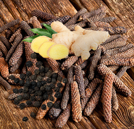 Fresh long pepper root
