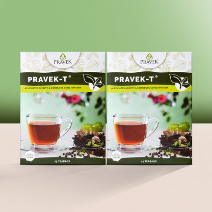 Pravek-T