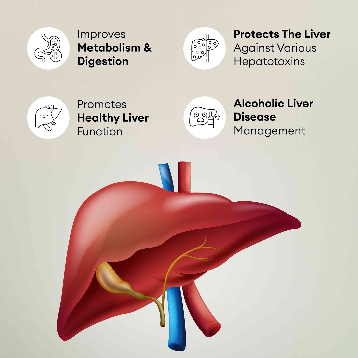 Pravekliv Ayurvedic Liver Tonic Syrup – Herbal Wellness Supplement